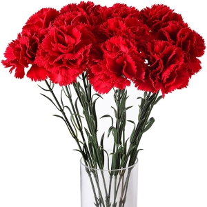 Bodrum Flower Order - Carnations